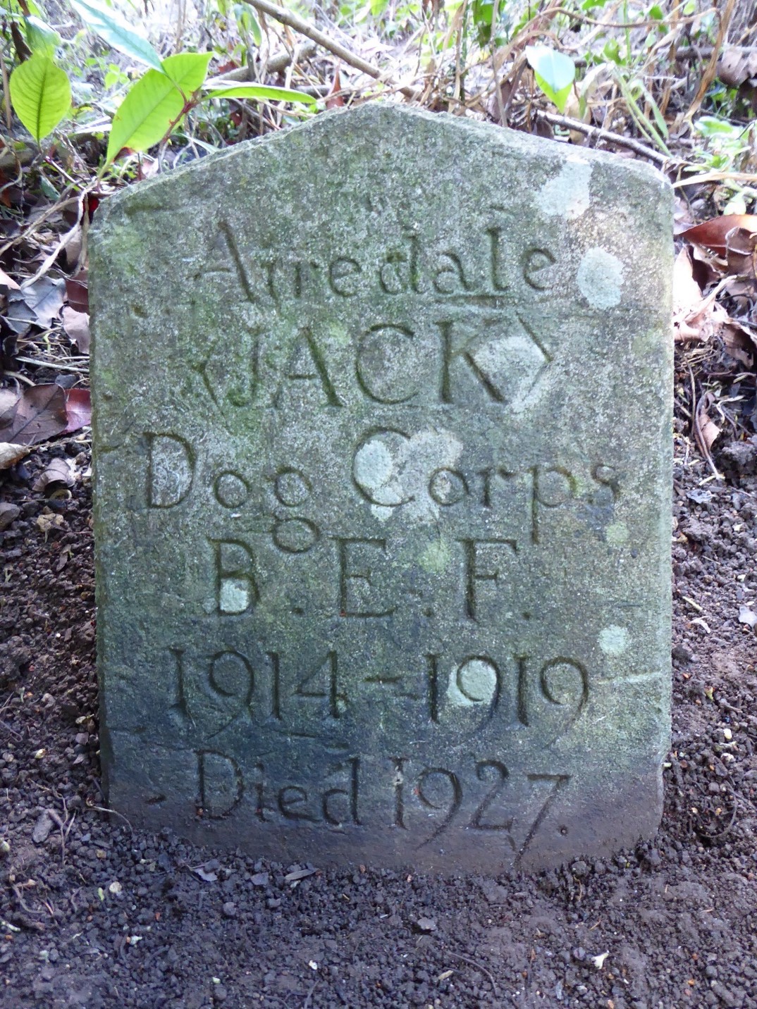 Jackthedoggrave